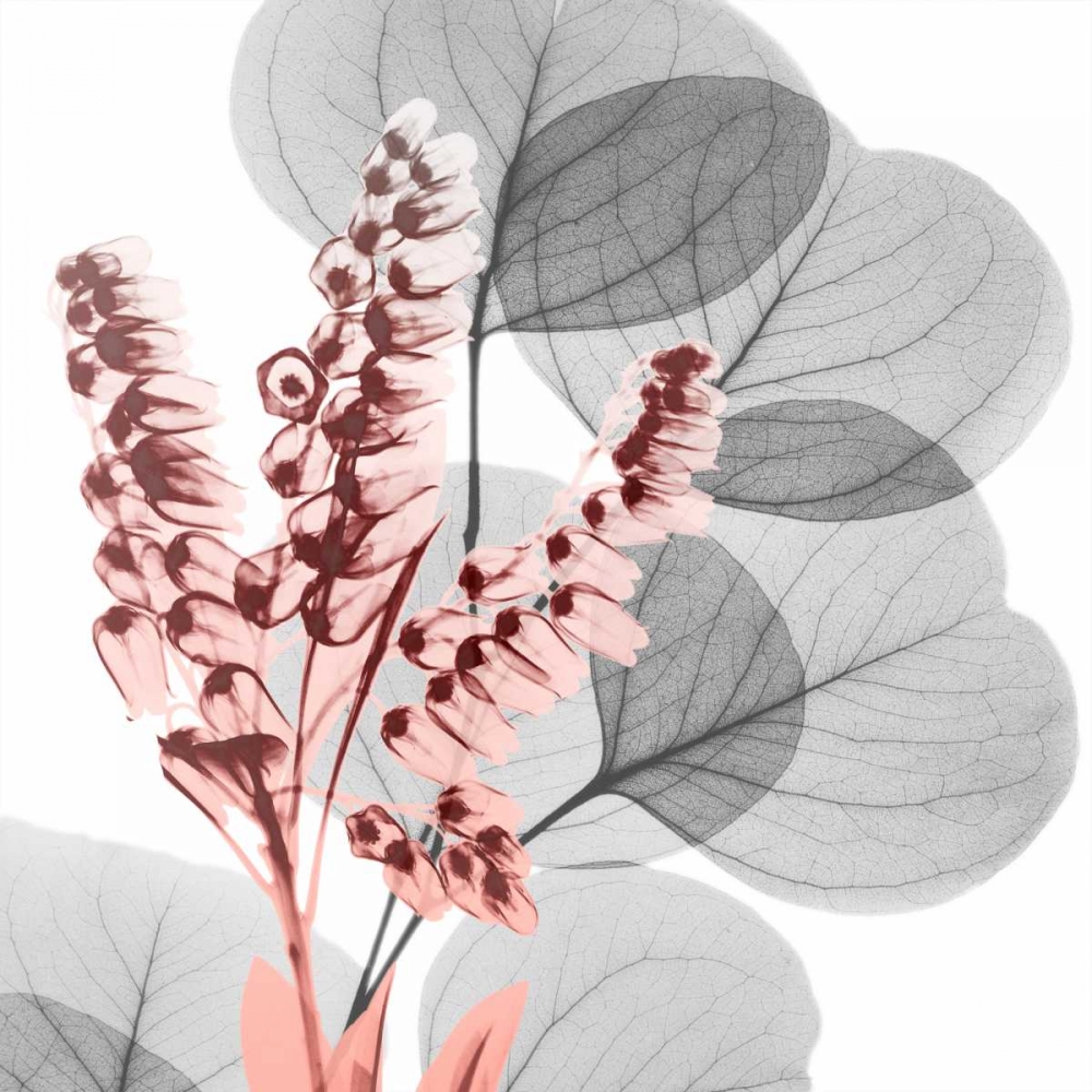 Wall Art Painting id:171397, Name: Eucalyptus Blush 2, Artist: Koetsier, Albert