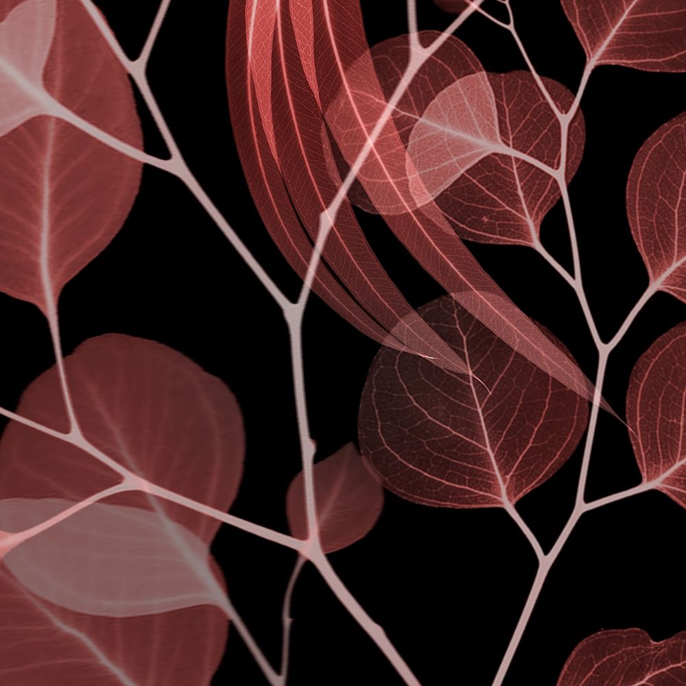 Wall art: Coral Infused Eucalyptus 1, by Koetsier, Albert