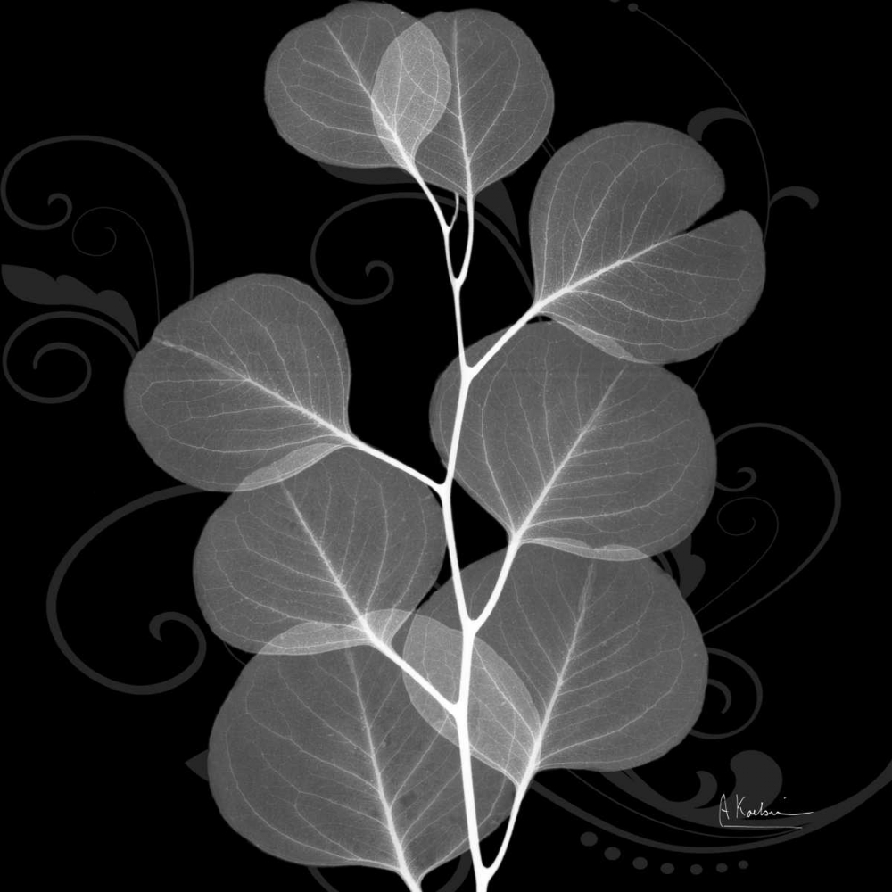 Wall Art Painting id:22439, Name: Eucalyptus E196, Artist: Koetsier, Albert