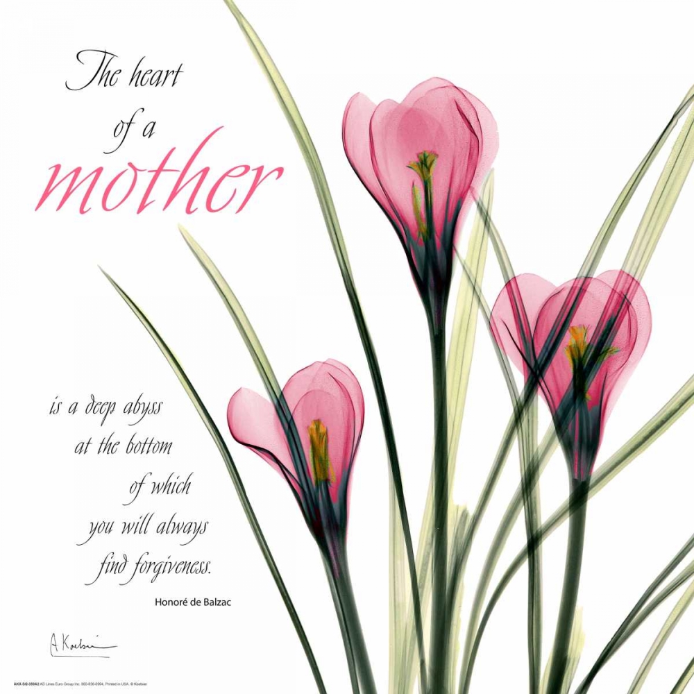 Art Print: Love Crocus C37