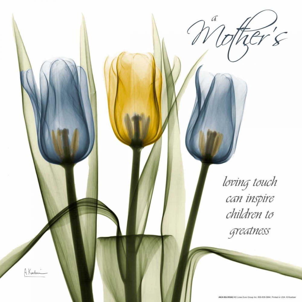 Art Print: Tulips Kindness