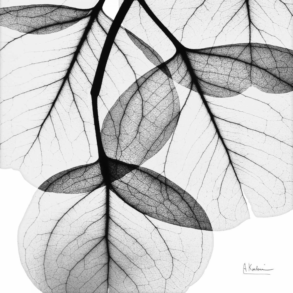 Similar wall art painting: 22578