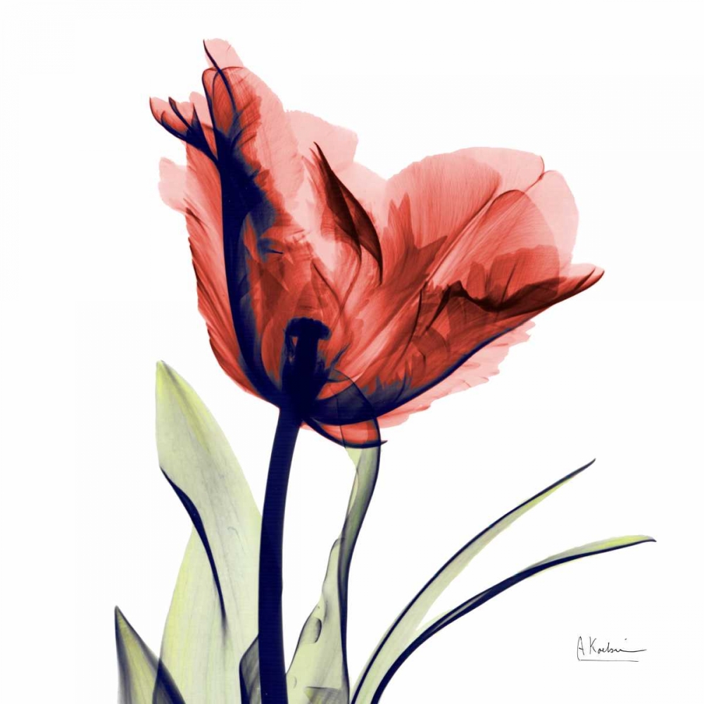 Wall Art Painting id:22581, Name: Tulip Red, Artist: Koetsier, Albert