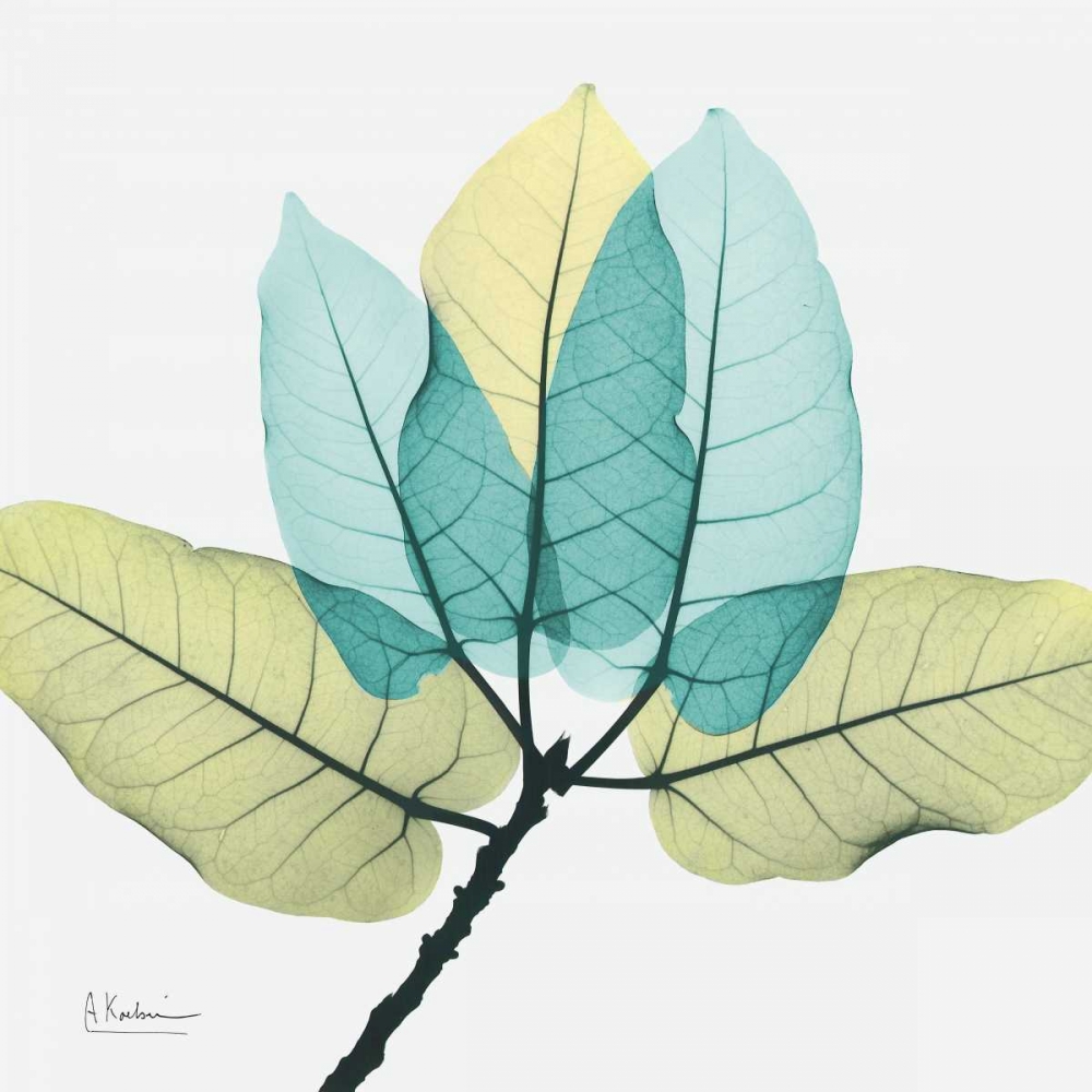 Wall Art Painting id:21705, Name: Ficus Burkey, Artist: Koetsier, Albert