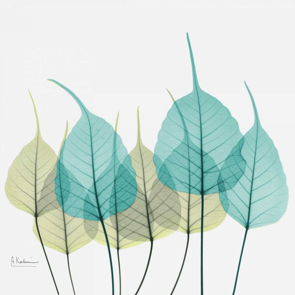 Art Print: Bodhi Tree