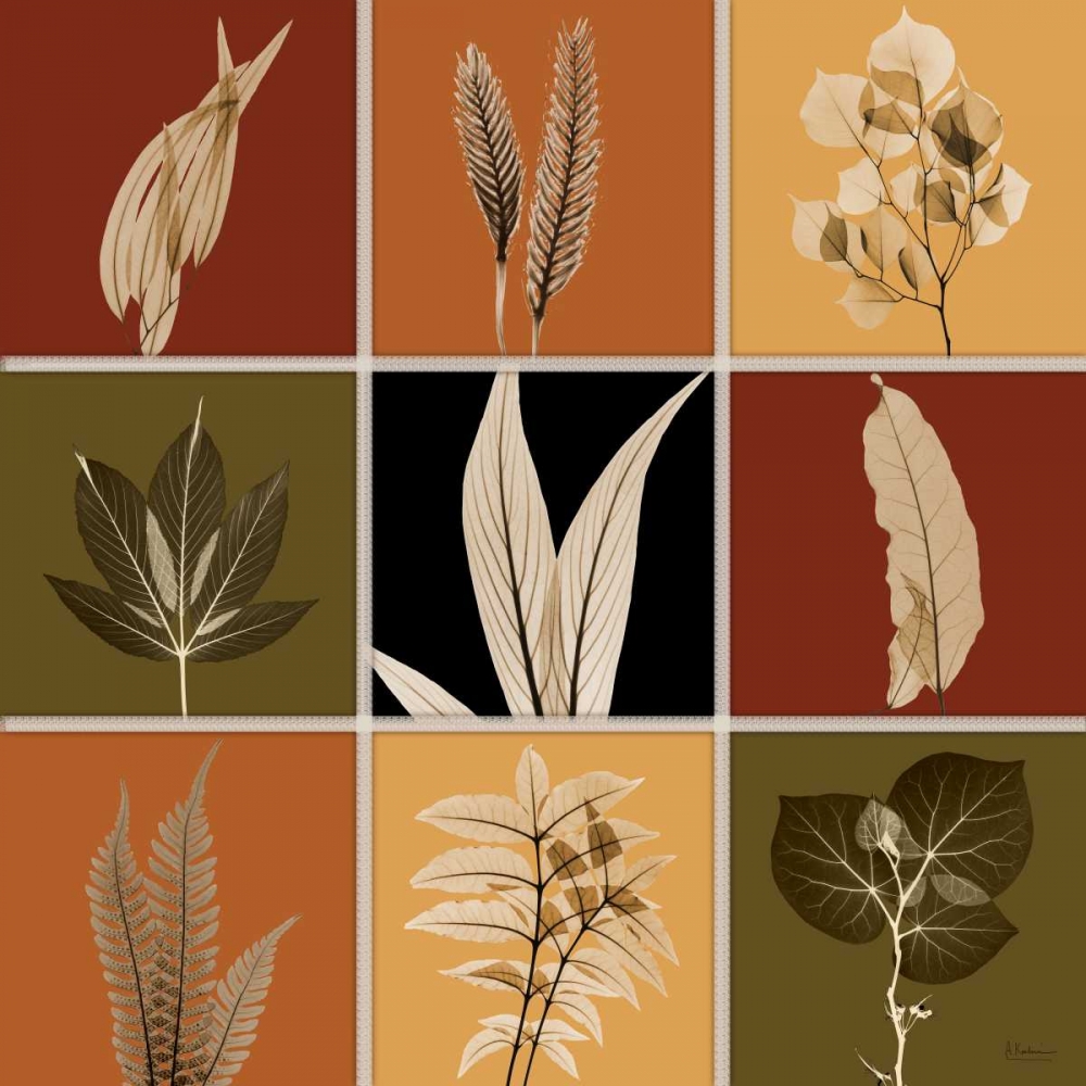 Wall Art Painting id:22609, Name: Harvest 9 patch 1, Artist: Koetsier, Albert