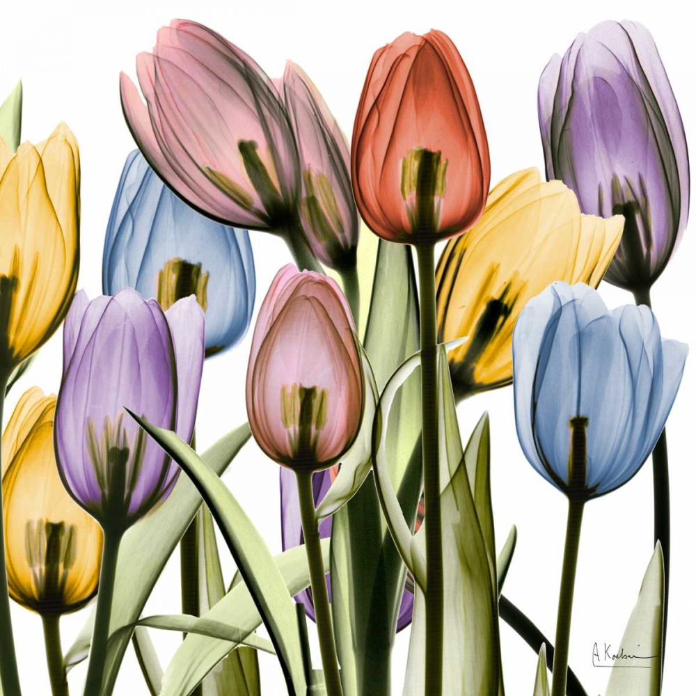 Wall Art Painting id:86119, Name: Tulipscape, Artist: Koetsier, Albert