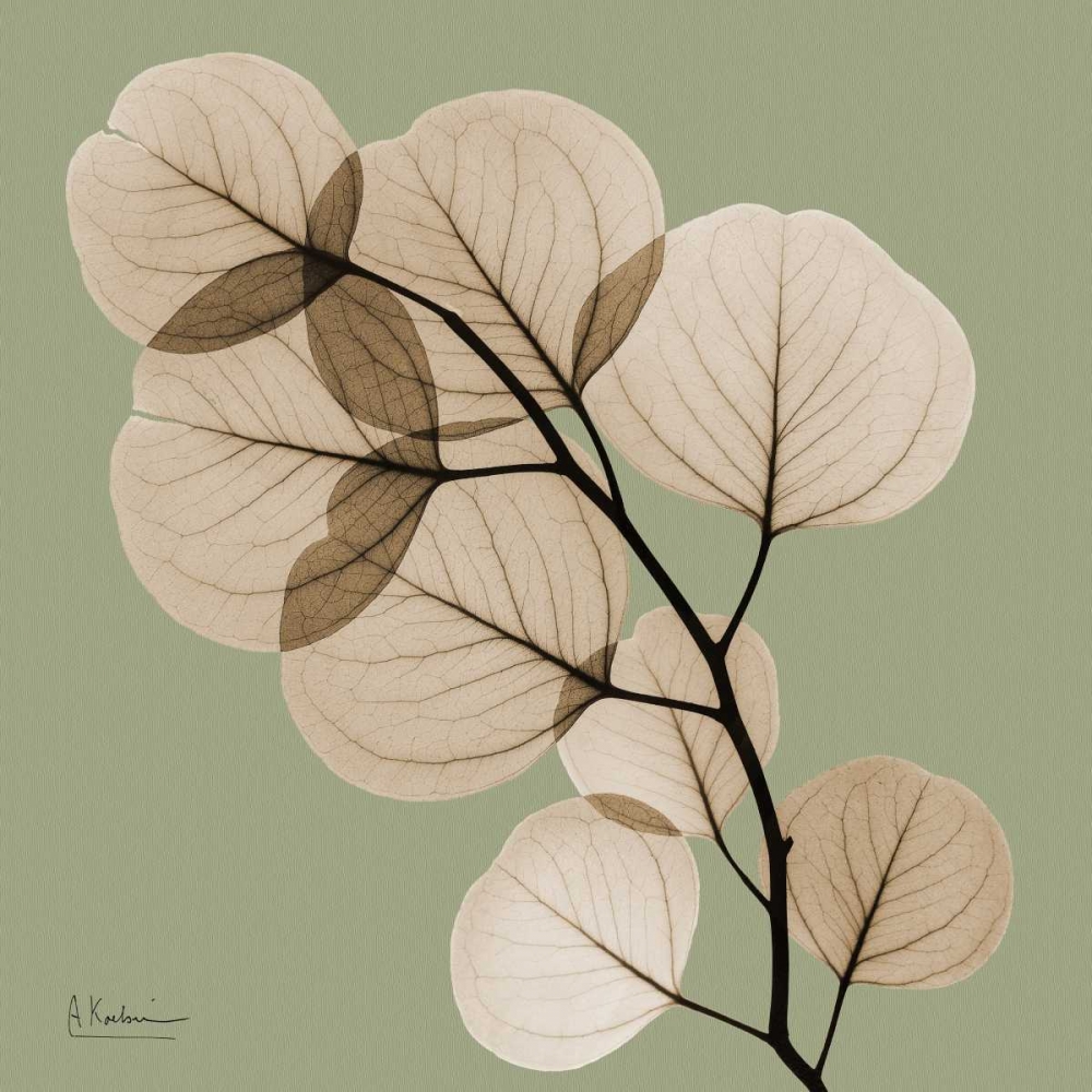 Similar wall art painting: 22639