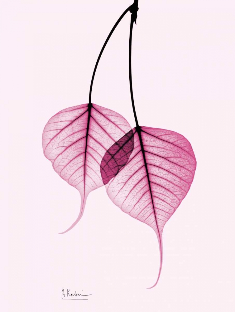 Wall Art Painting id:22648, Name: Bodhi Tree Pink, Artist: Koetsier, Albert