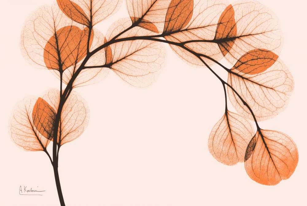 Art Print: Orange Eucalyptus