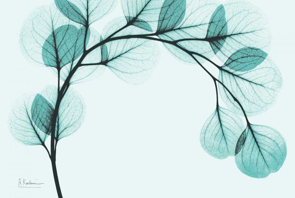 Art Print: Teal Eucalyptus