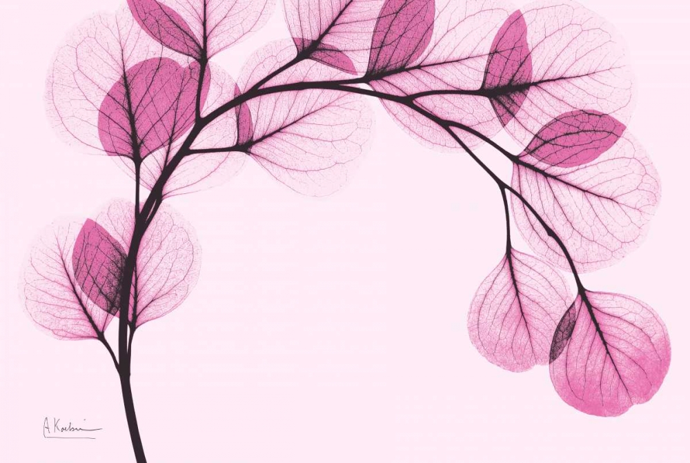 Wall Art Painting id:22654, Name: Pink Eucalyptus, Artist: Koetsier, Albert