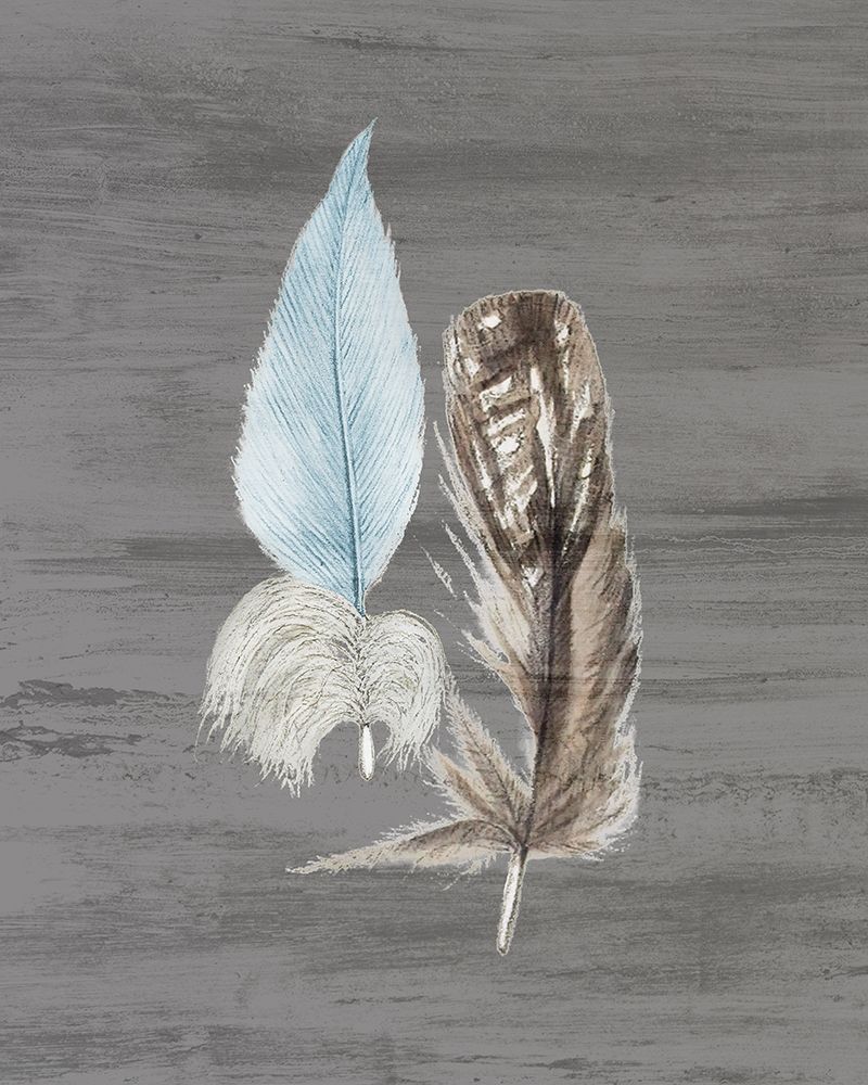 Wall Art Painting id:256091, Name: Feathers 1, Artist: Bailey, Ann