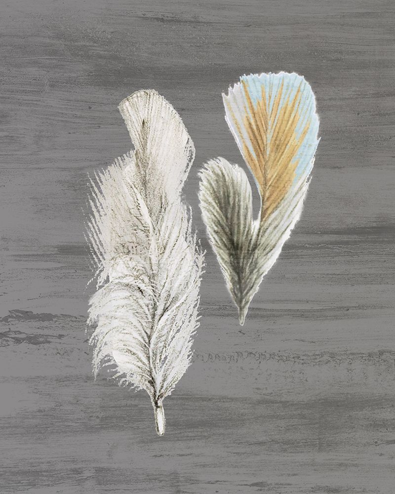Wall Art Painting id:256092, Name: Feathers 2, Artist: Bailey, Ann