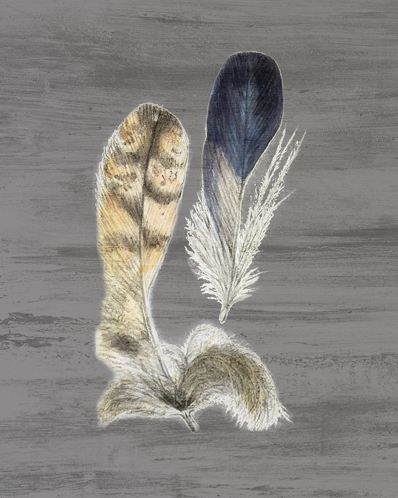 Art Print: Feathers 3
