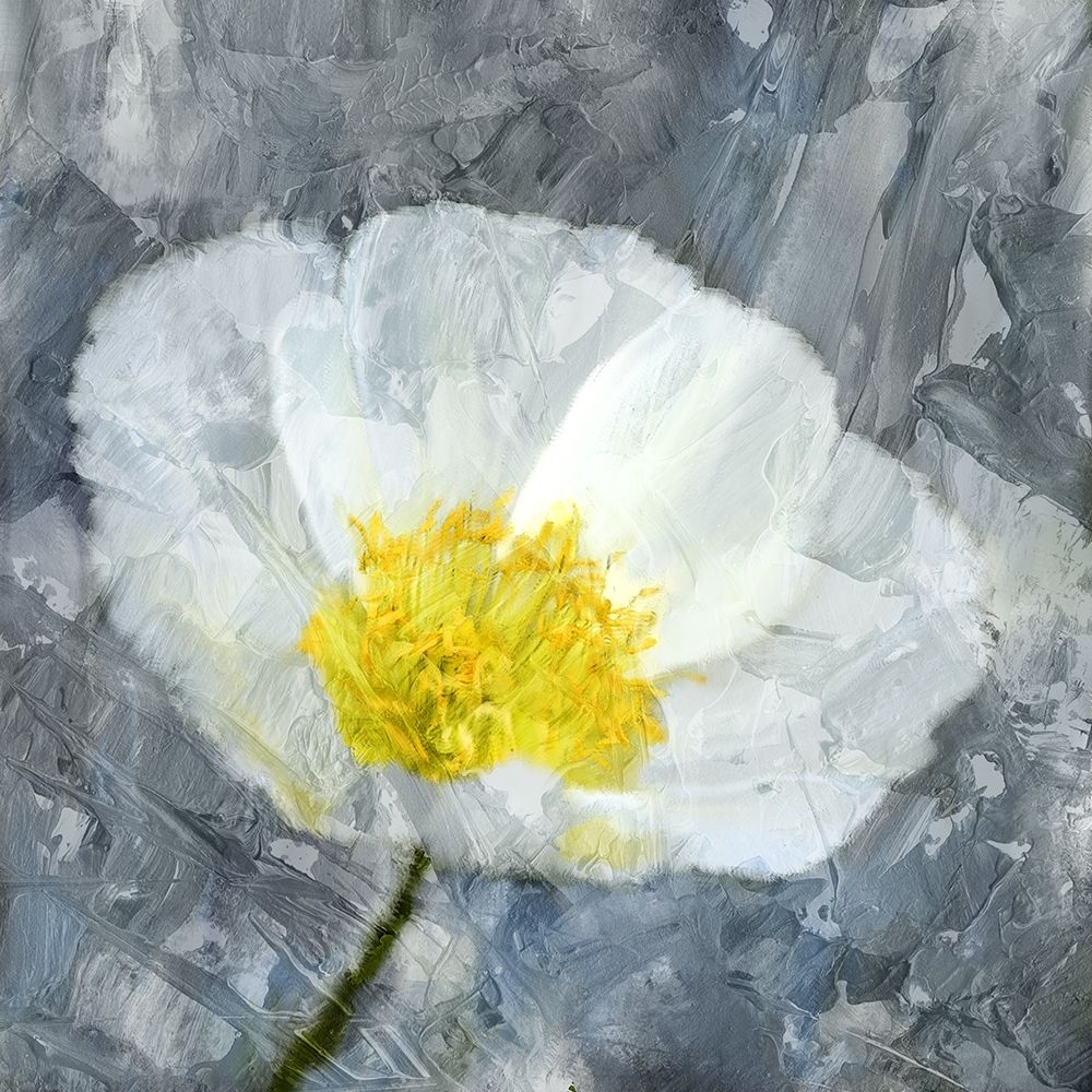 Wall Art Painting id:248905, Name: Poppy Blues 1, Artist: Bailey, Ann