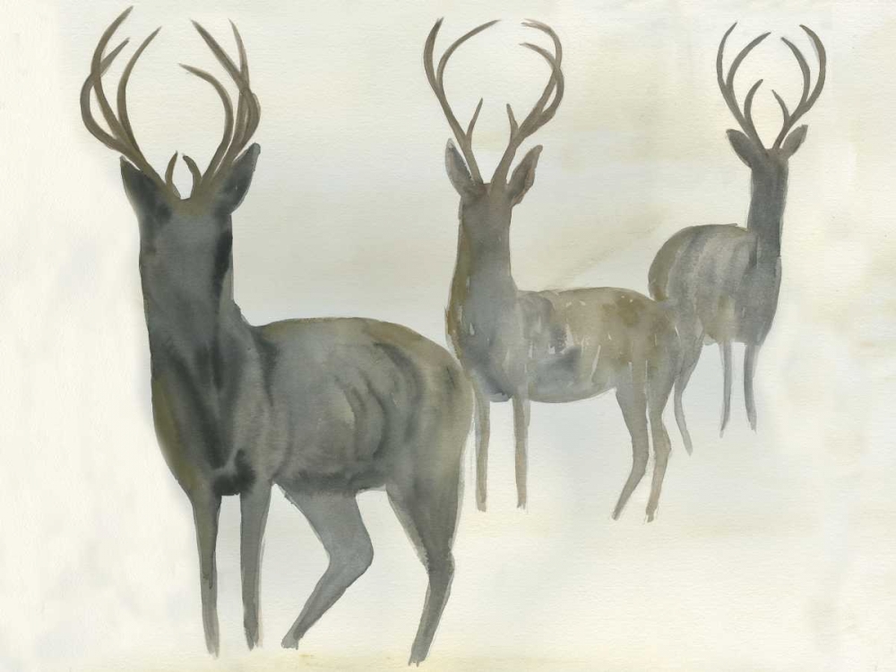 Art Print: Deer Trio