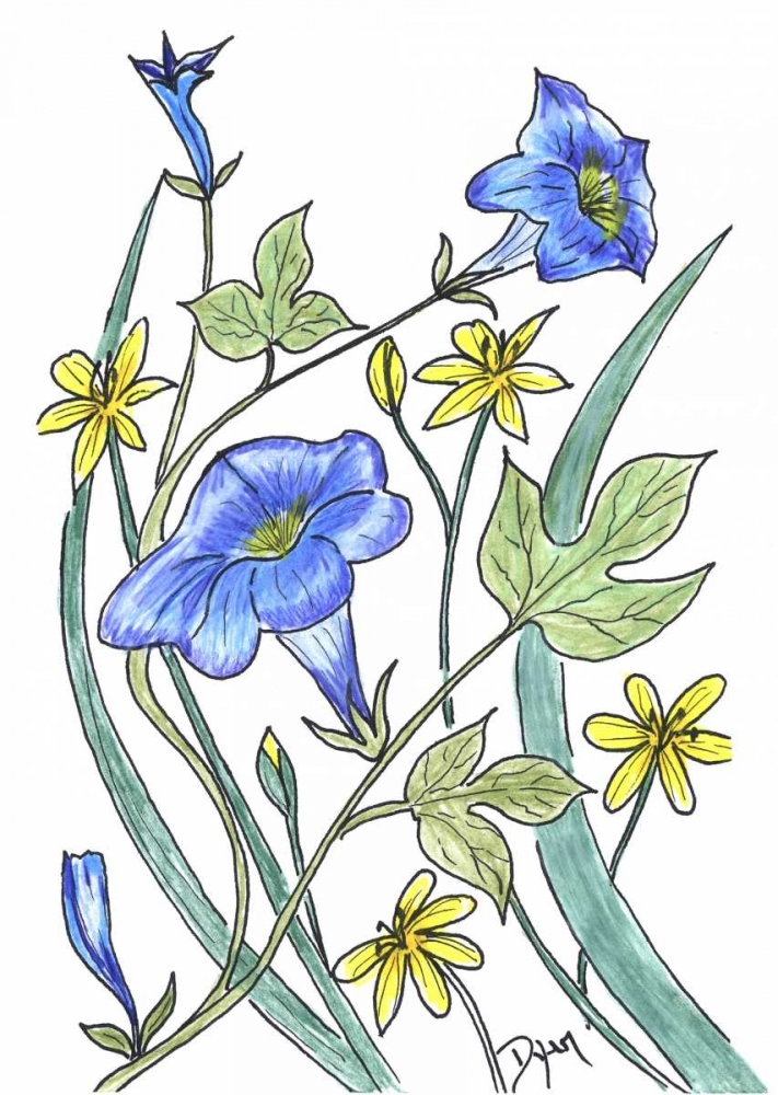 Wall Art Painting id:86220, Name: Ivey Leaved Morning Glory, Artist: Dyer, Beverly