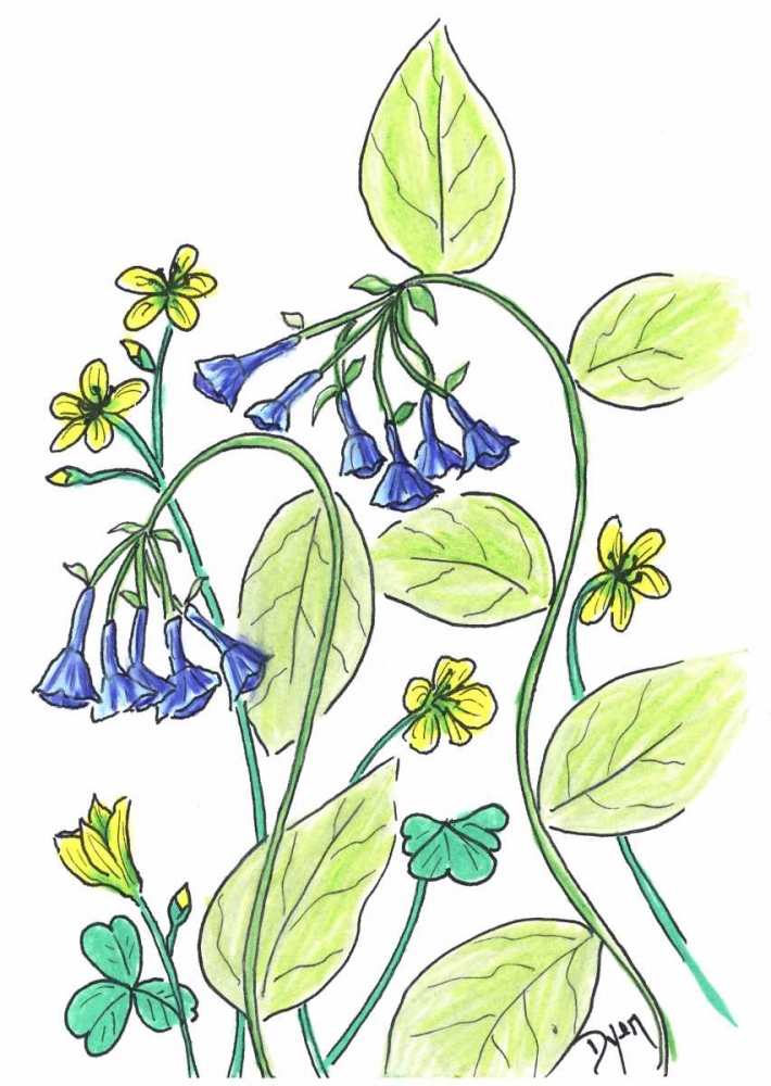 Wall Art Painting id:86225, Name: Virginia Bluebells, Artist: Dyer, Beverly