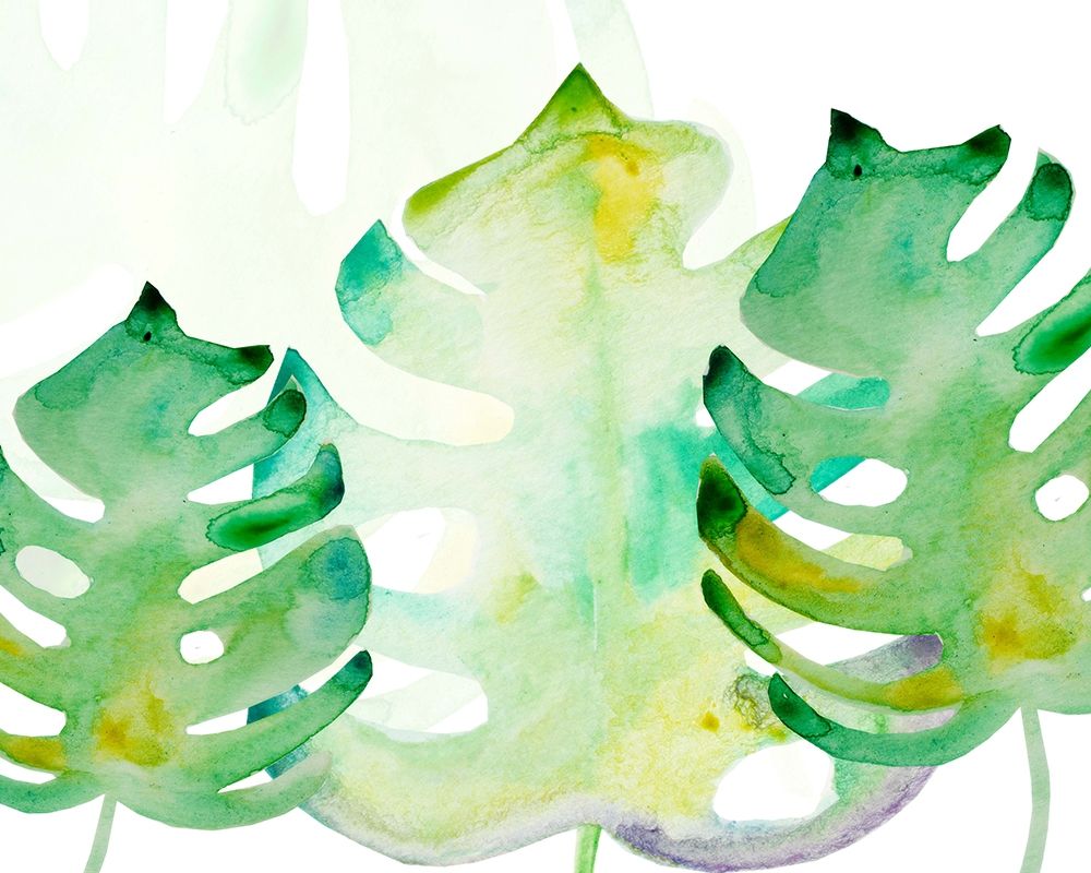 Art Print: Green Monsteral 1