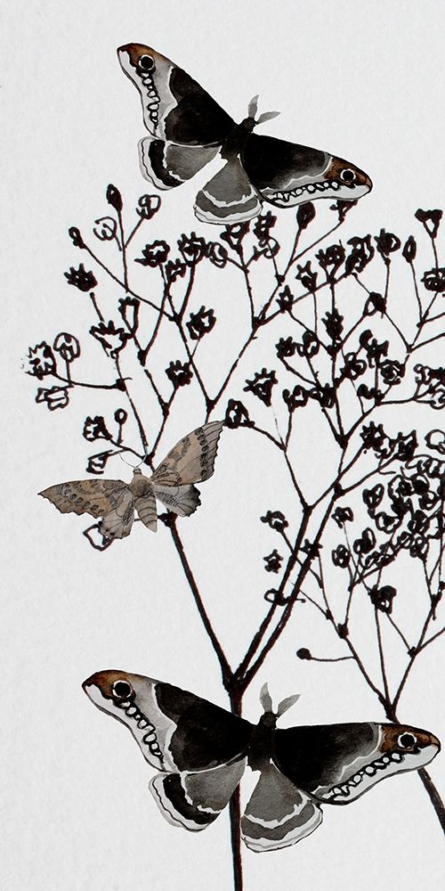 Art Print: Dark Butterflys 1