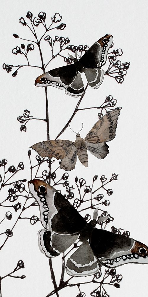 Wall Art Painting id:199747, Name: Dark Butterflys 2, Artist: Boho Hue Studio