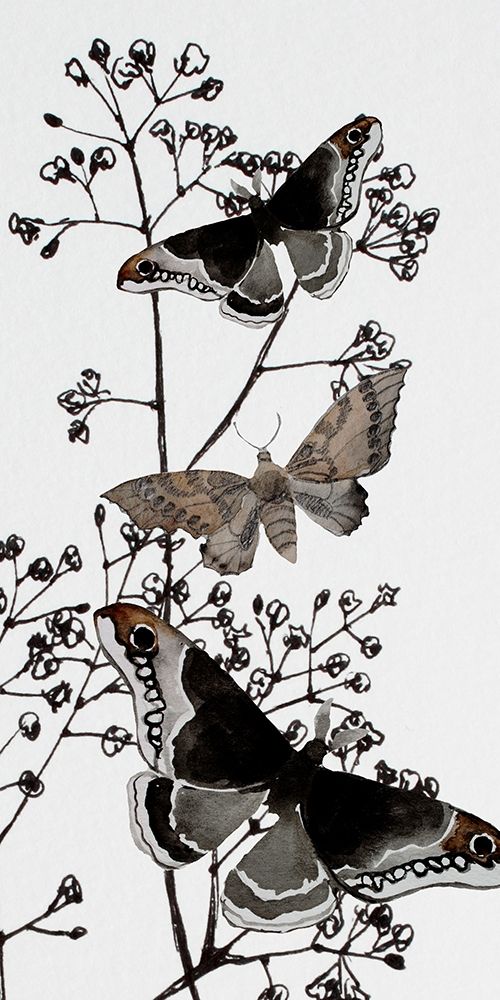 Art Print: Dark Butterflys 2