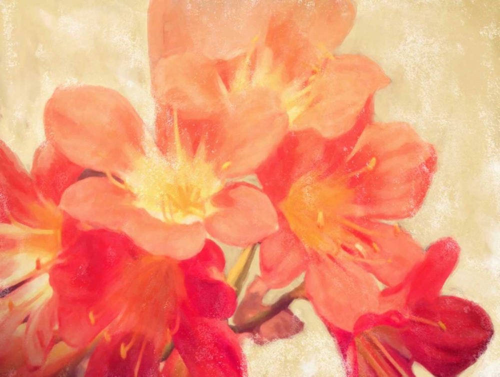 Art Print: Sun Fire Florals