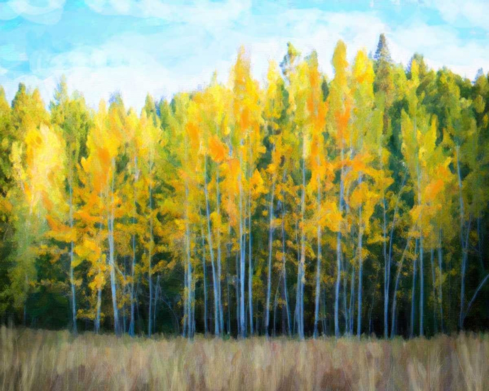 Wall art: Trees 1, by Alvarez, Cynthia