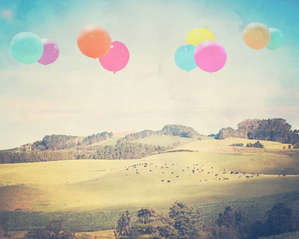 Wall Art Painting id:41090, Name: Balloons Over the Country, Artist: Davis, Ashley