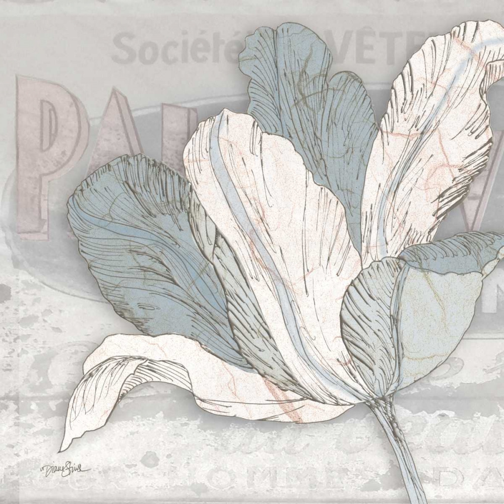 Wall Art Painting id:21755, Name: Saumur Fleur 1, Artist: Stimson, Diane