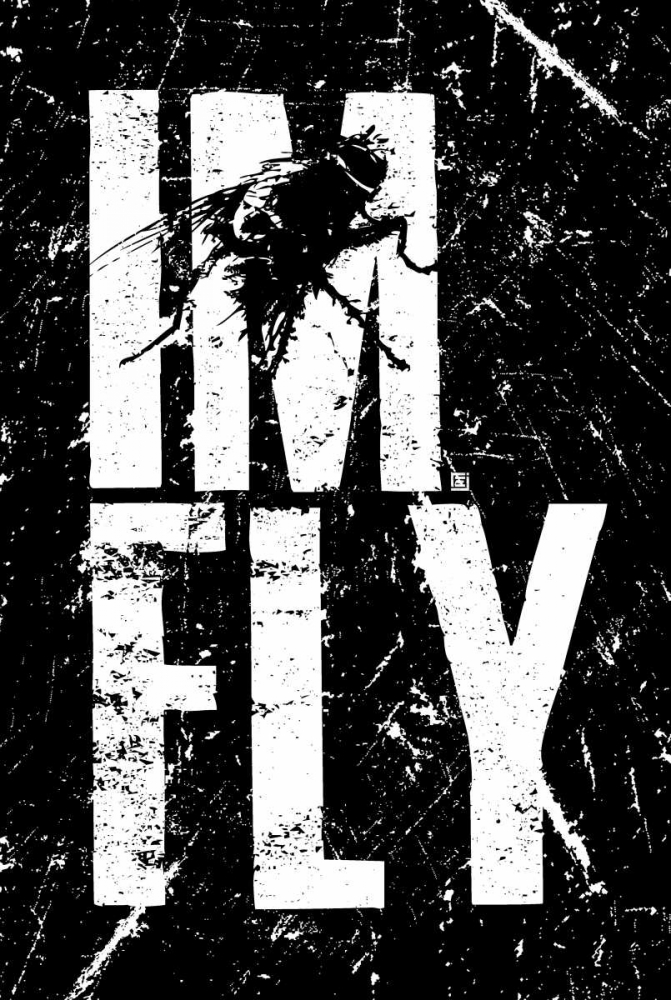 Wall art: IM FLY 1, by Rodriquez Jr., Enrique