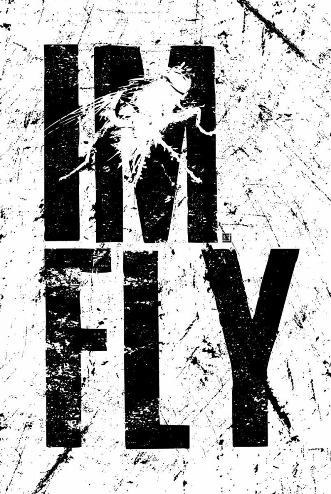 Wall art: IM FLY 2, by Rodriquez Jr., Enrique