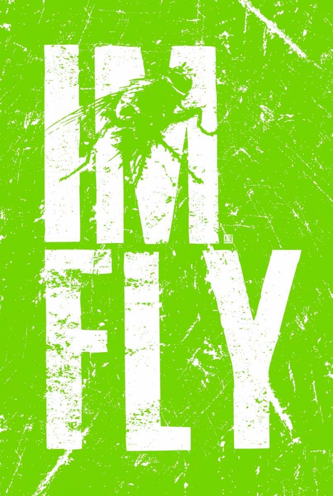 Wall art: IM FLY 3, by Rodriquez Jr., Enrique