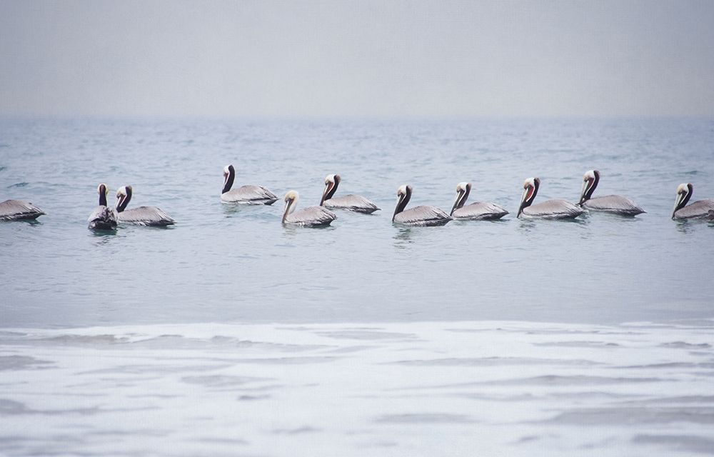 Art Print: Misty Morning I