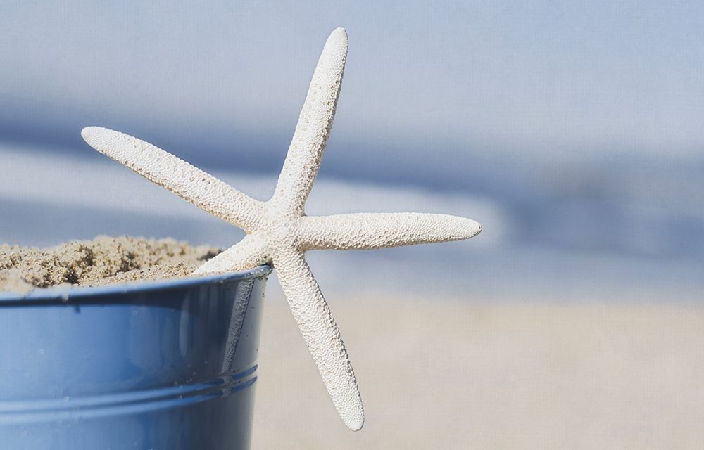 Art Print: Misty Morning IV