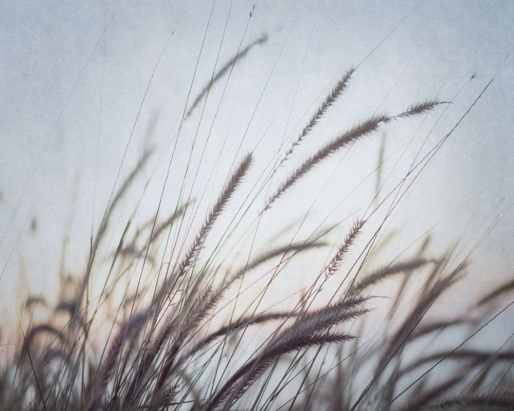 Art Print: Misty Morning VI