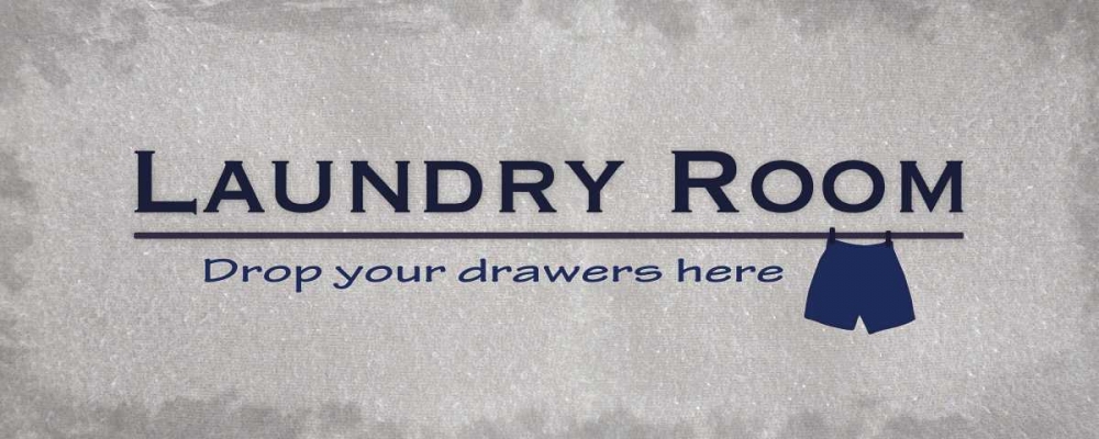 Wall Art Painting id:75637, Name: Laundry Room Drawers , Artist: Gibbons, Lauren