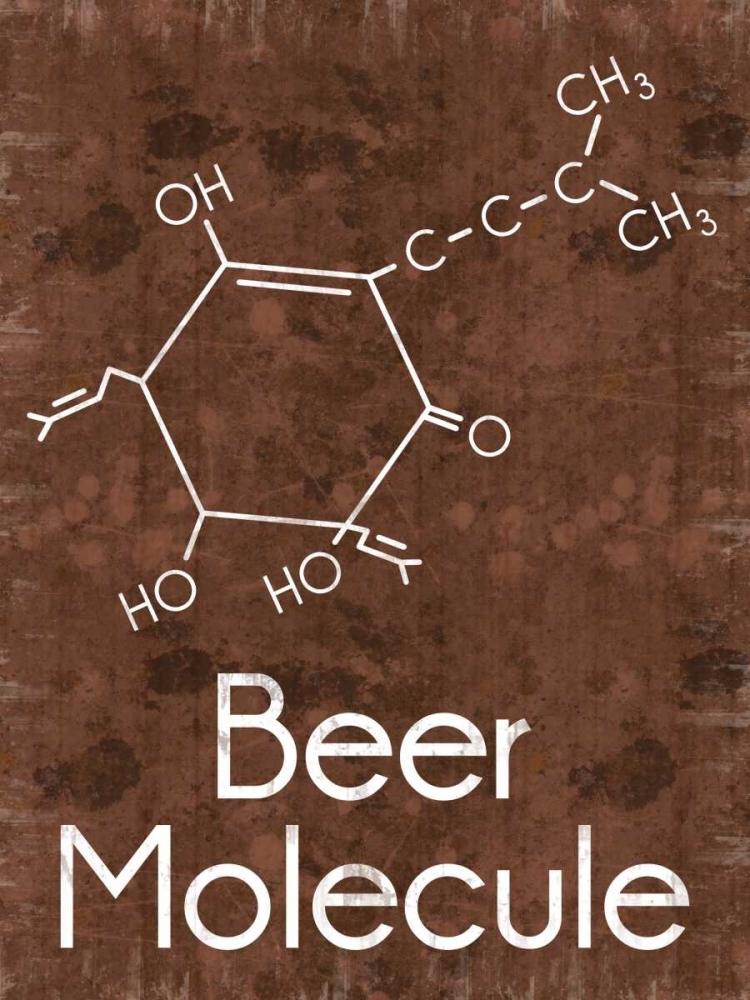 Wall Art Painting id:75866, Name: Beer Molecule 2 Rect Brown, Artist: Gibbons, Lauren