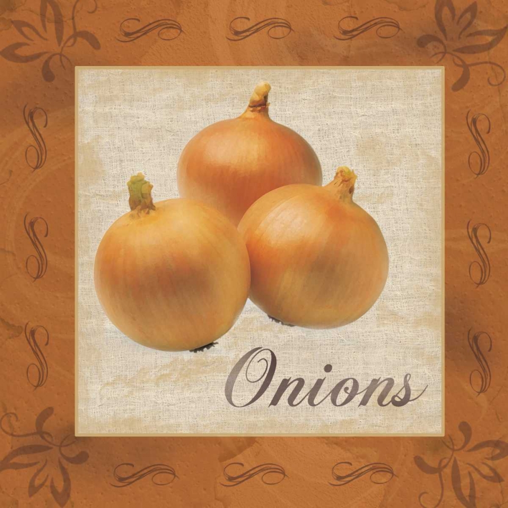 Wall Art Painting id:76011, Name: Onions, Artist: Gibbons, Lauren