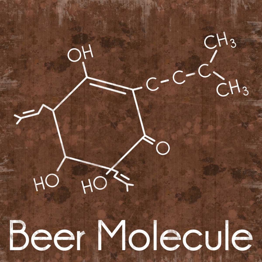 Wall Art Painting id:76244, Name: Beer Molecule 2 Brown, Artist: Gibbons, Lauren