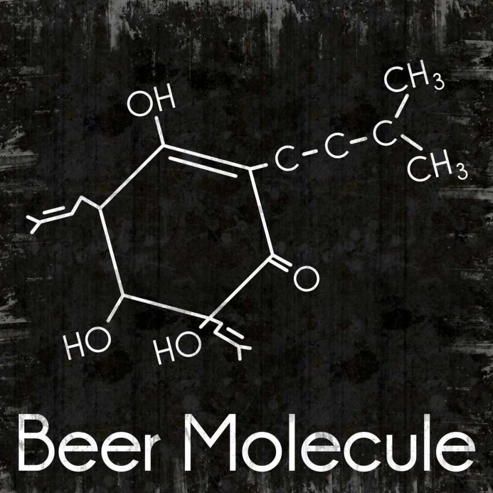 Wall Art Painting id:76243, Name: Beer Molecule 2, Artist: Gibbons, Lauren
