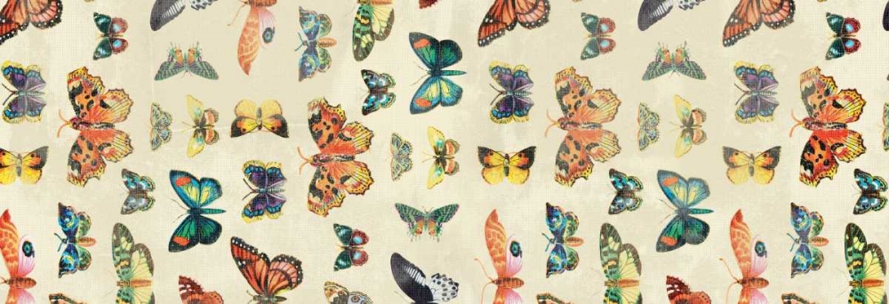 Wall Art Painting id:25579, Name: Butterflies, Artist: Grey, Jace