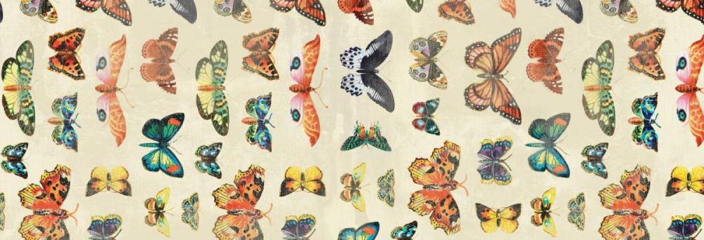 Wall Art Painting id:25580, Name: Butterflies, Artist: Grey, Jace