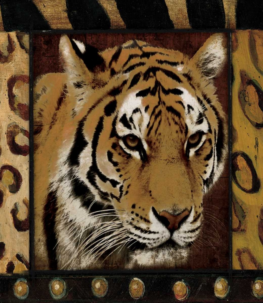 Wall Art Painting id:26355, Name: Tiger Bordered, Artist: Grey, Jace