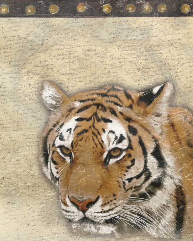 Wall Art Painting id:37693, Name: Tiger Africa 2, Artist: Grey, Jace