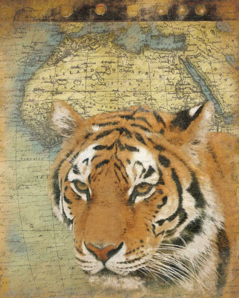 Wall Art Painting id:37692, Name: Tiger Africa, Artist: Grey, Jace