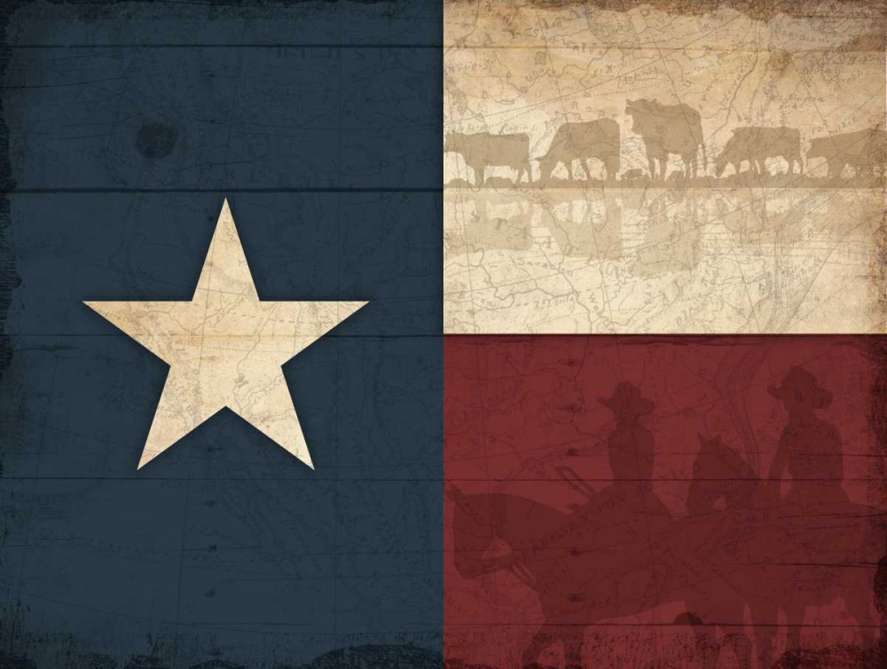 Wall Art Painting id:172989, Name: Texas Flag, Artist: Grey, Jace