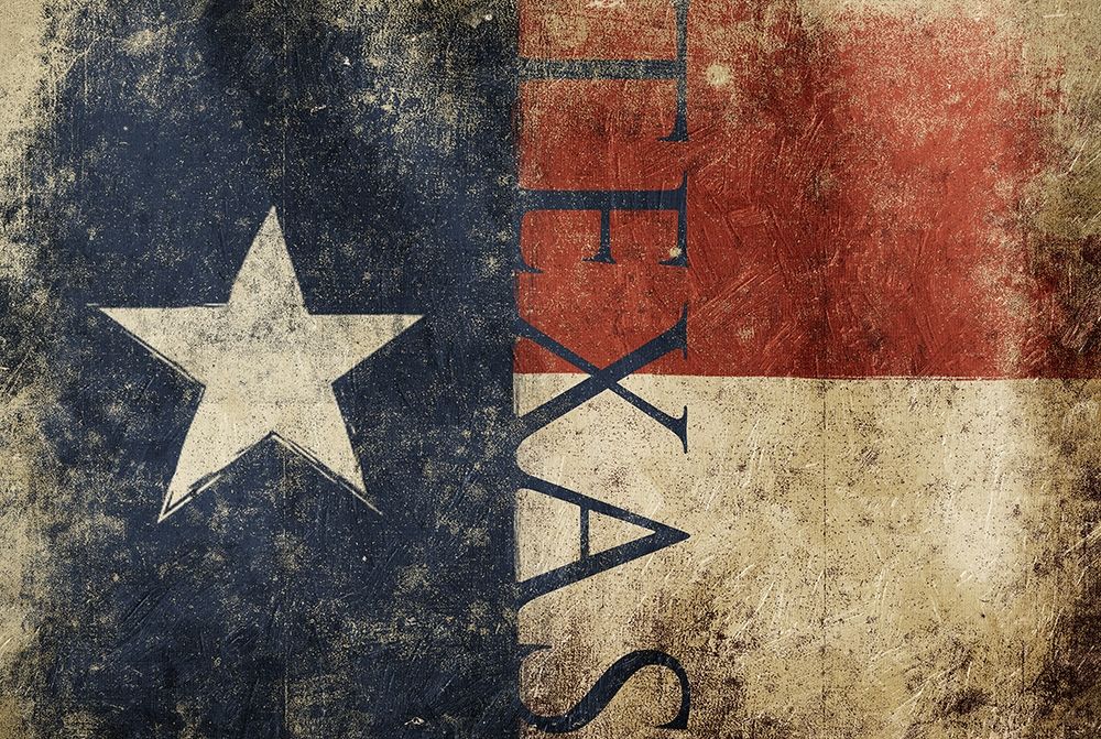 Wall Art Painting id:222708, Name: Texas Flag Text, Artist: Grey, Jace