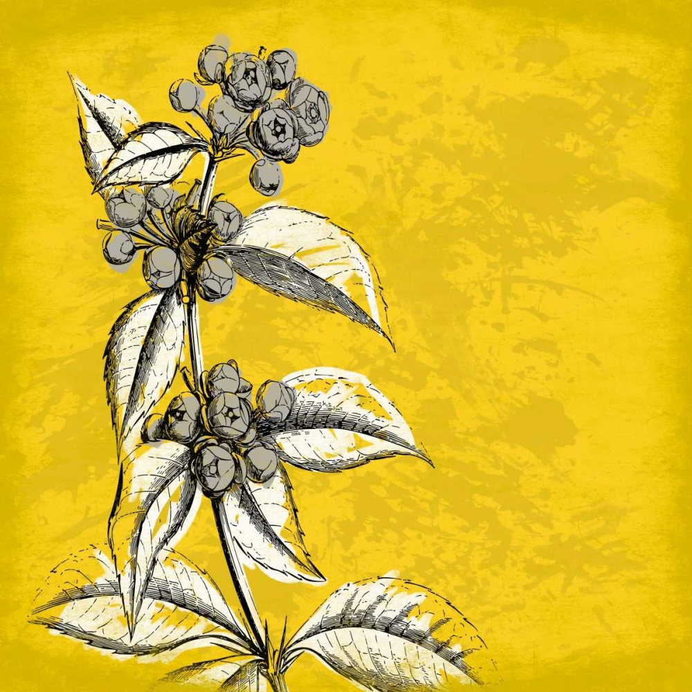 Wall Art Painting id:26865, Name: Flowers 3, Artist: Grey, Jace